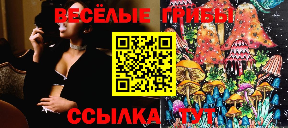 Галлюциногенные грибы прущие грибы  Вход с VPN  Сорочинск 